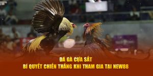 đá gà cựa sắt