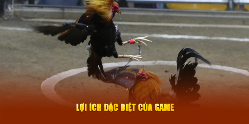 Lợi ích đặc biệt của game